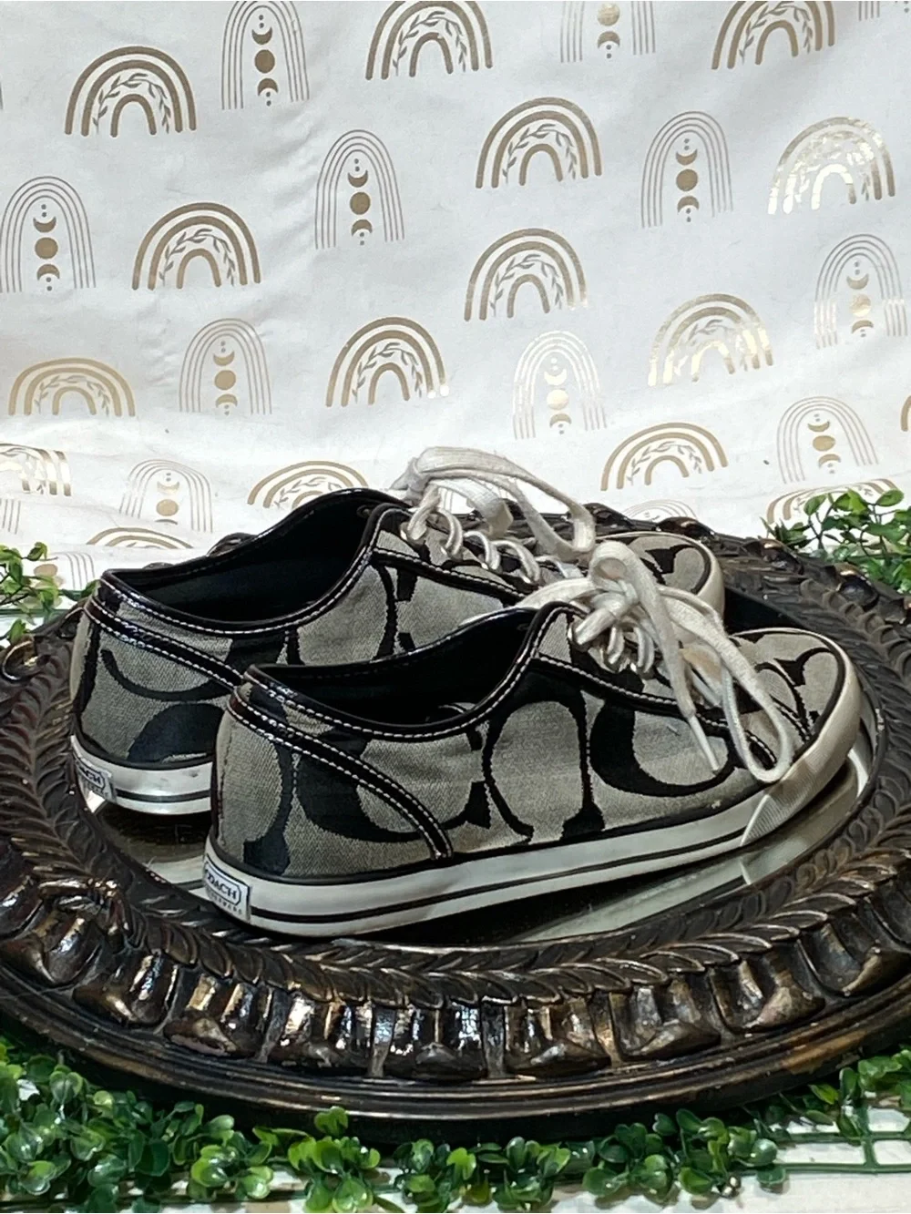 Coach low top